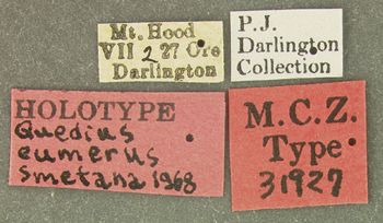 Media type: image;   Entomology 31927 Aspect: labels